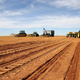 A farmer inspects the soil ahead of planting at a maize field in Wesselsbron, a small maize farming town in the Free State province of South Africa